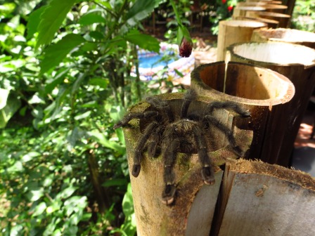 ???????????????????????????????