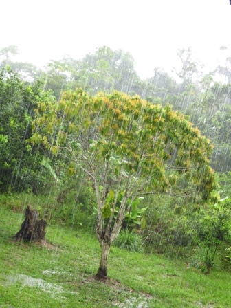 Optimism, Optimism, Optimism