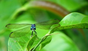 Chapter 13: The Middle of Everything